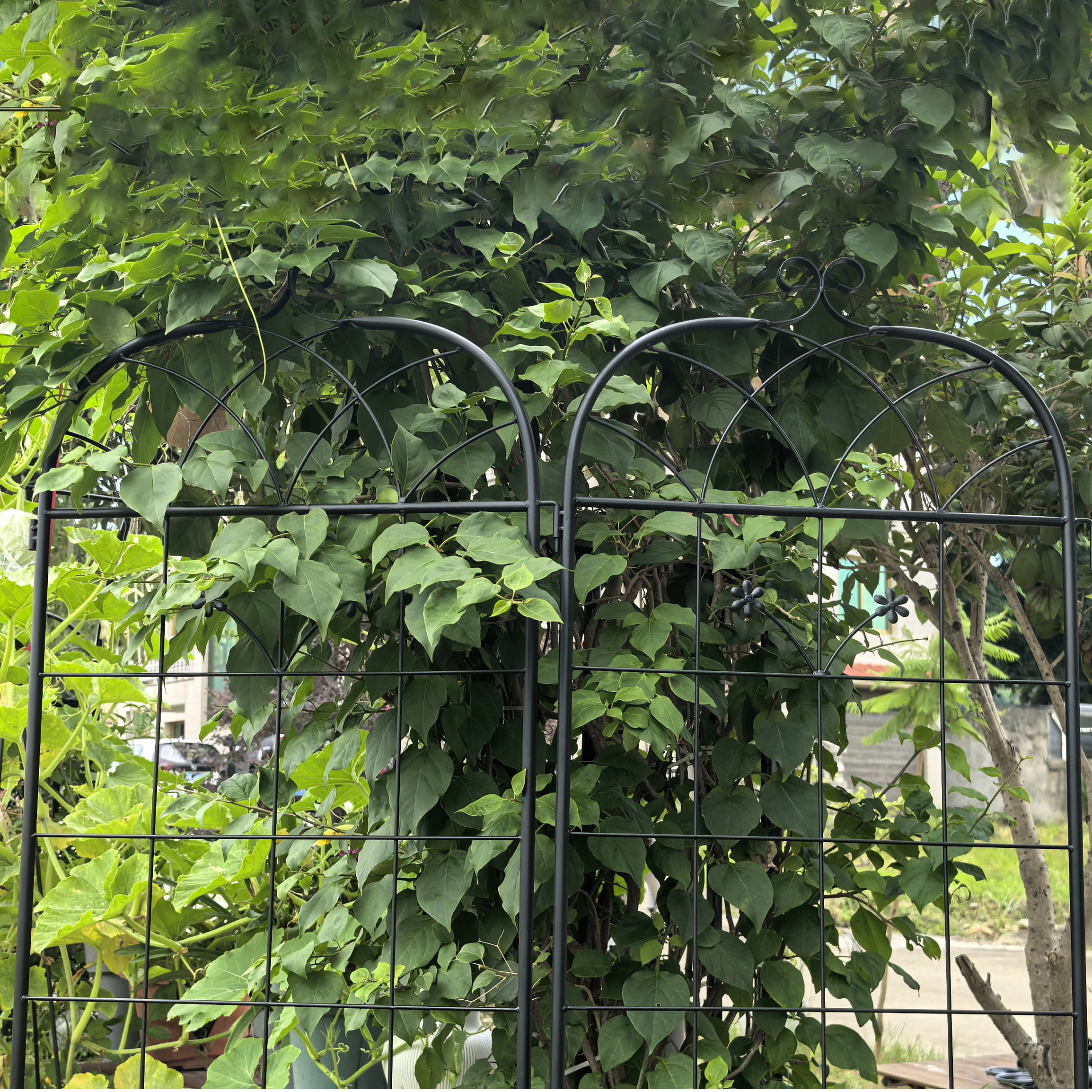 Garden Trellis, 2 Pack Metal Trellis for Climbing Plants, Indoor/Outdoor Plant Trellis for Potted Plants, House Plants, Climbing Vines, Flowers and Vegetables