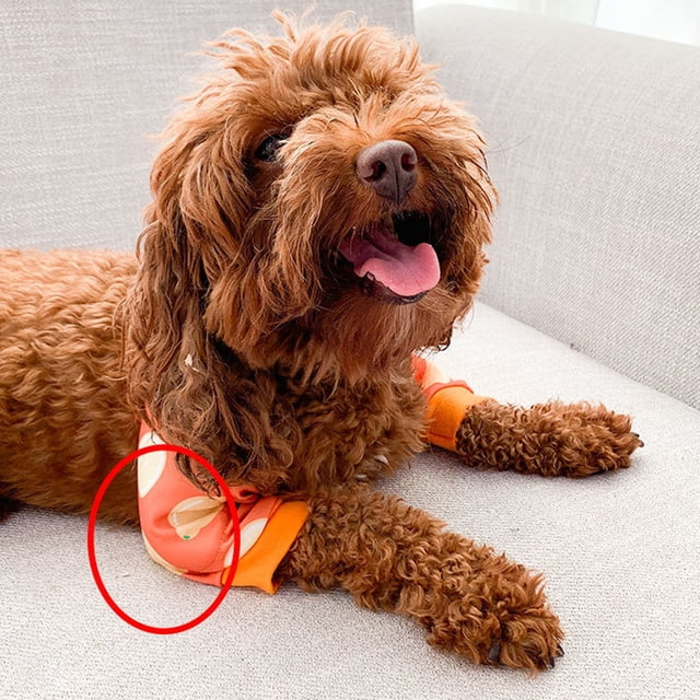 Dog Elbow Protector, Dog Puppy Knee Pads Dog Elbow Sleeves Multipurpose Soft Padded Adjustable Pad Dog Elbow Brace Protector Pads for Canine Elbow and Shoulder Support Elbow