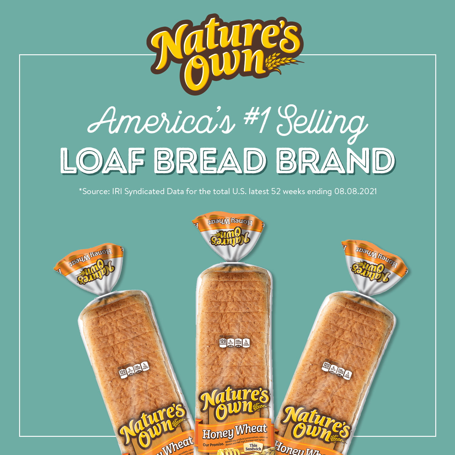 Nature's Own Honey Wheat Bread: 2-Pack of 20 oz Honey Wheat  Sandwich Loaves : Grocery & Gourmet Food