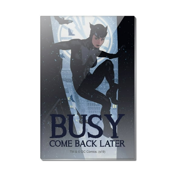 Batman Busy Catwoman Rectangle Acrylic Fridge Refrigerator Magnet