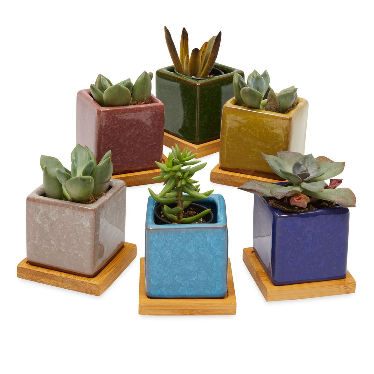 Succulent Plant Pots Ceramic Flower Pot Indoor with Drainage Hole Bamboo Tray 