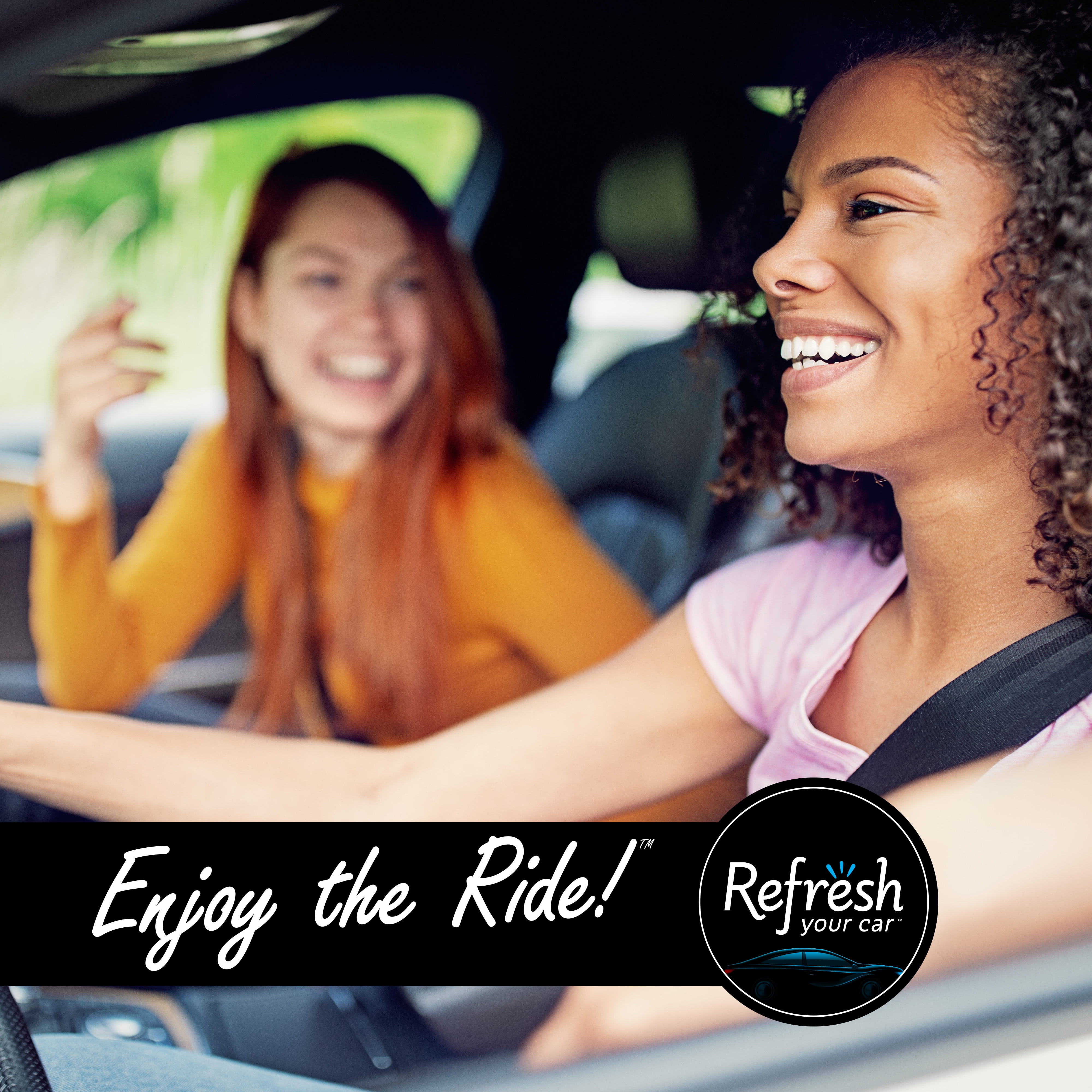 Refresh Your Car! Mini Diffuser Air Freshener (New Car/Cool Breeze Scent, 2  Pack) 