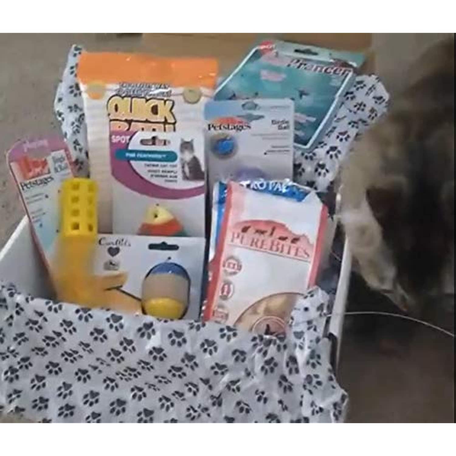 Lots of Pets Cat Scratch Fever Party Box Kitty Cat Party Box, Pet Supplies Starter Pack, Treats and Toys for Cats