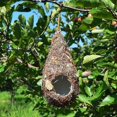 thumbnail image 2 of 6 Pack Bird House, Hanging Birdhouse Bird Nest Fiber Hand-Woven Roosting, 2 of 5