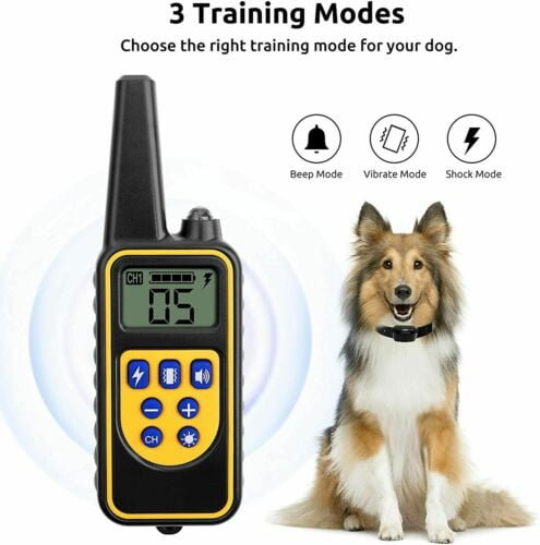2600 FT Remote Dog Training Shock Collar Waterproof Rechargeable Hunting Trainer 