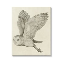 Stupell Industries Flying Barn Owl Wings Detailed Monochrome Drawing Canvas Wall Art, 24 x 30, Design by Grace Popp