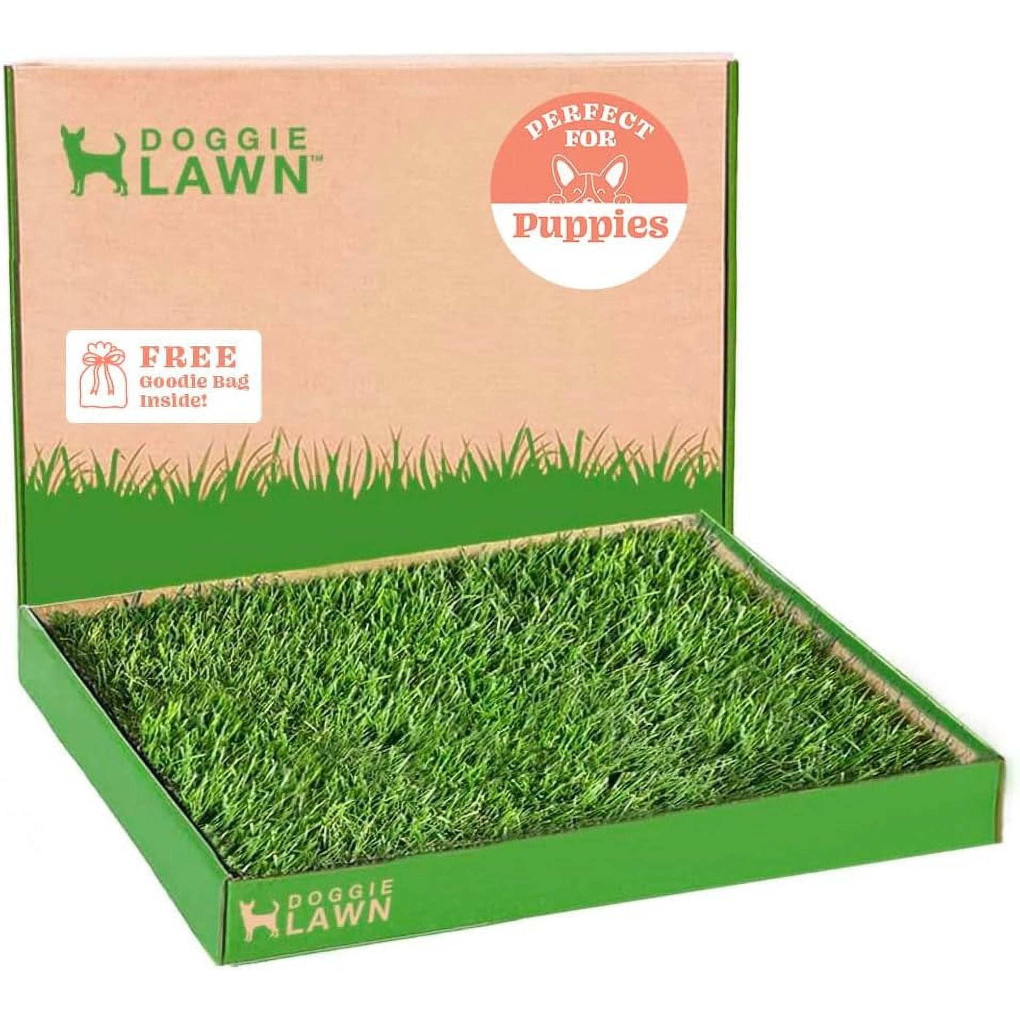 DoggieLawn - Real Grass Disposable Potty Training Puppy Pee Pads, Dog Grass Pee Pads, 24 x 24 Inches Pet Pee Pads, Potty Training Pee Pad for Dogs, Puppy and Dogs Grass Pee Pads, Puppy Grass Pads