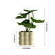 thumbnail image 3 of Adornos decorativos de bonsái con plantas en maceta, simulación de vegetación artificial, escritorio pequeño para oficina o sala de estar, estilo biónico, plantas artificiales, bajo, 3 of 9