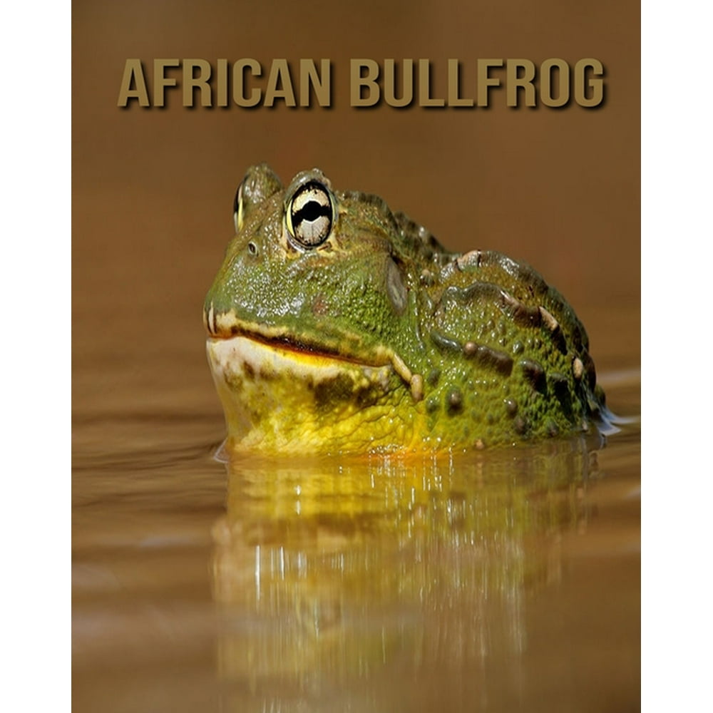 African Bullfrog: Incredible Pictures and Fun Facts about