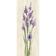 thumbnail image 3 of Vassileva, Silvia 10x18 Black Modern Framed Museum Art Print Titled - Farm Flower II Light, 3 of 5