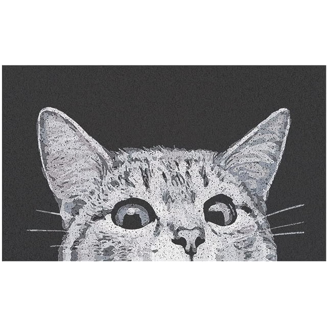 Tapis de Porte avant pour Chat Intérieur Extérieur Tapis de Bienvenue Absorbant la Boue, Tapis d'Entrée Extérieur/intérieur, Tapis Antidérapants avec Dos en Caoutchouc, Durable et Lavable, 18X30