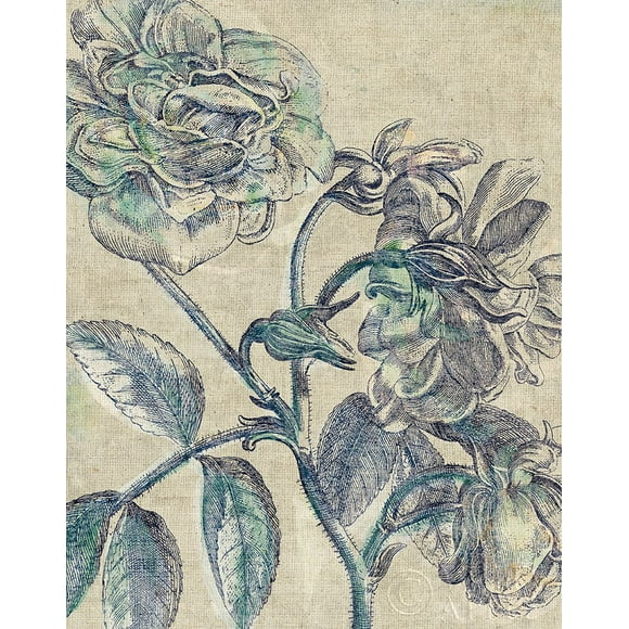 Belle Fleur I Crop Linen Poster Print by Sue Schlabach (11 x 14)