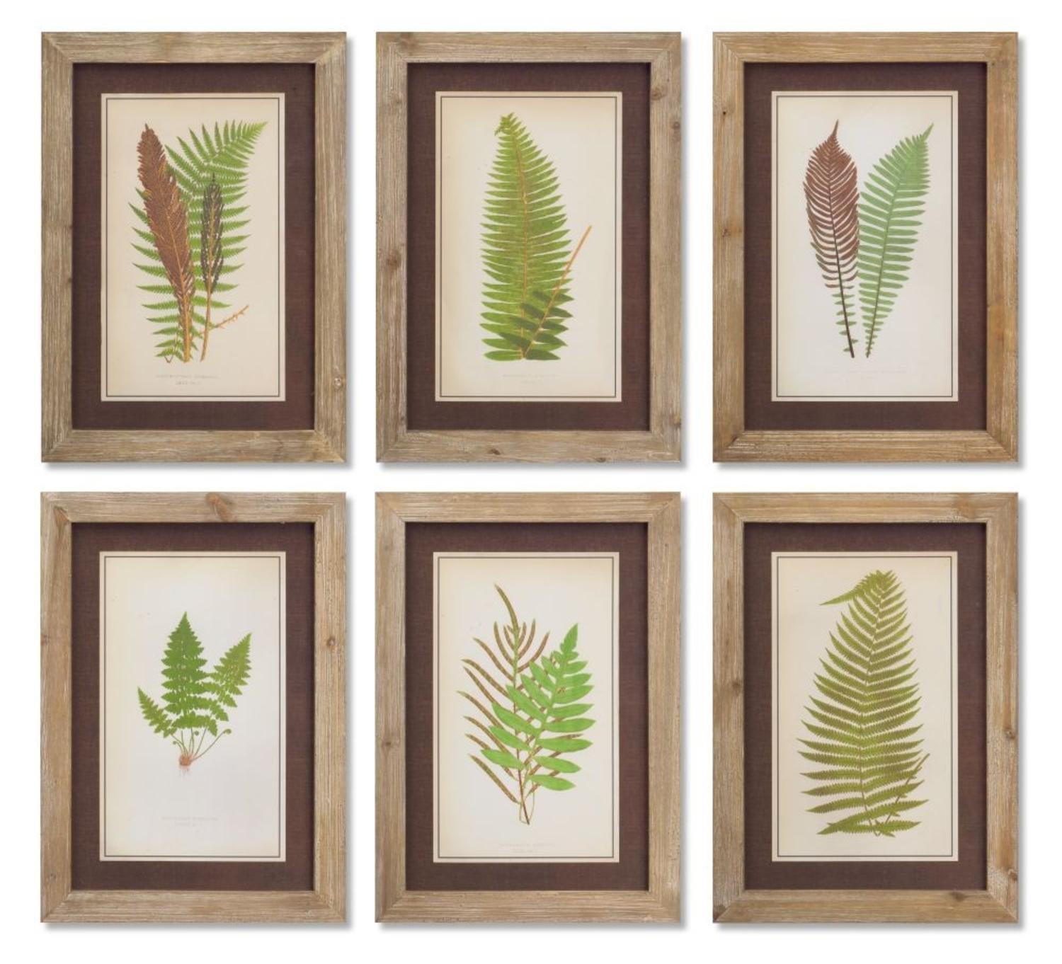 6×4 Picture Frame with Fern Pattern