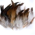 thumbnail image 2 of Feathers 50 Pieces 2-6 Inches Length, For Carnival, Halloween, Crafts, , DIY, Clothing, Costumes Natural, 2 of 6