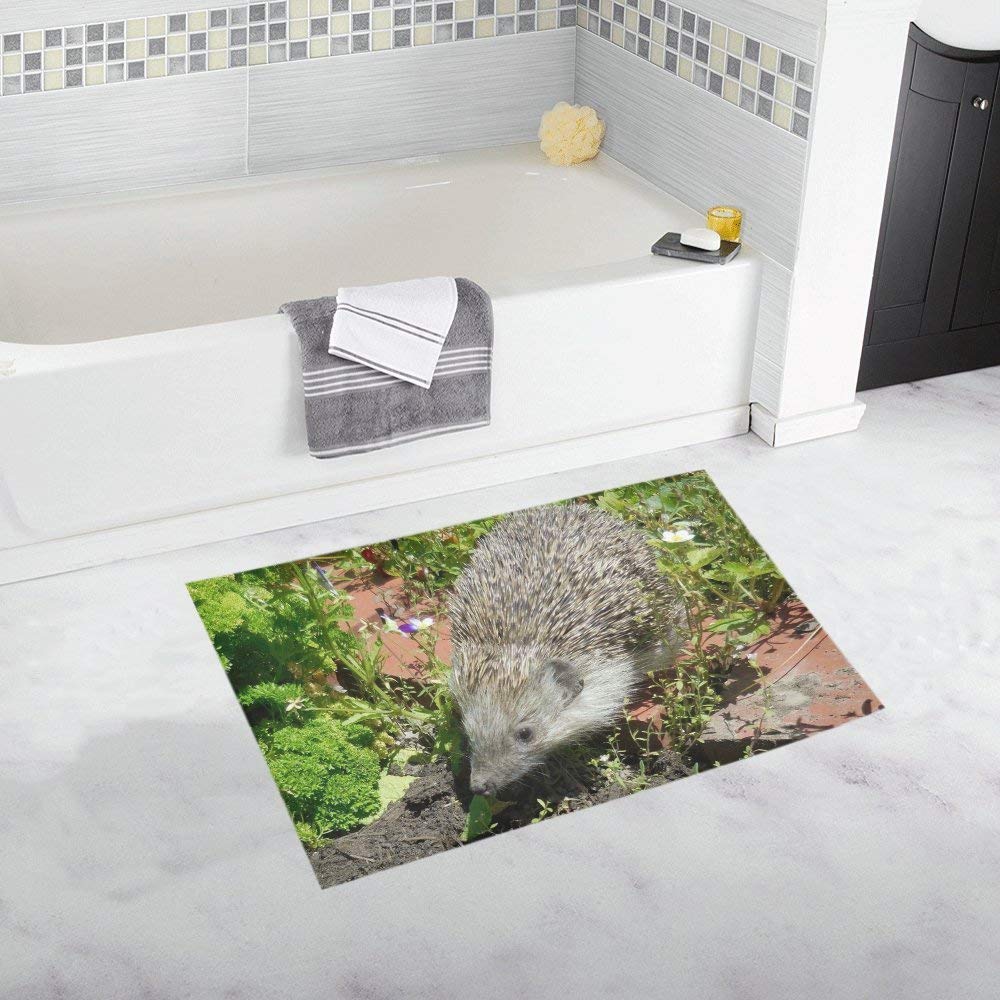 CADecor hedgehog- cute visit to the garden Non-Slip Bath Rug Bath Mat Rug  Doormat 30x18 inches - Walmart.com