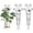 One butterflies, variant on 2 Pack 30 Inch Taller Plant Trellis for Potted Climbing Plants Indoor,Expandable Metal Garden Trellis for Climbing Plants,Flowers Vine Ivy, Sturdy Houseplant Support for Potted Plants with Ties