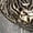 Dark Brown, variant on Women's Leopard Print Striped Patchwork Button Front Cropped Knit Cardigan Red S