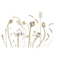 thumbnail image 3 of Disher, Mandy 24x17 Black Modern Framed Museum Art Print Titled - Pods, 3 of 5