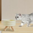 thumbnail image 1 of Tazones de cerámica para gatos para comida y agua Tazón de comida para gatos Antideslizante Protección para el cuello Trípode de madera Tazón Cuenco de agua 600ML Fernando Cuencos para gatos, 1 of 8