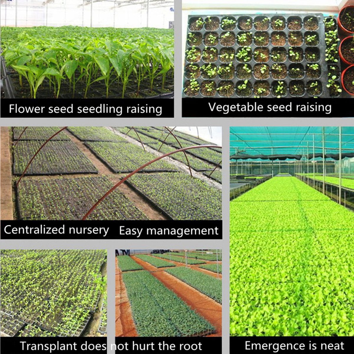 200 Cell Seedling Starter Trays For Seed Germination Plant US
