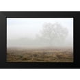 thumbnail image 2 of Blaustein, Alan 14x11 Black Modern Framed Museum Art Print Titled - Oak Tree - 28, 2 of 5