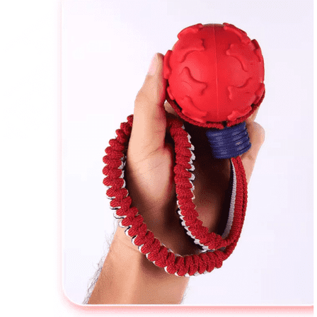 Bdor Dog Toy with Rope