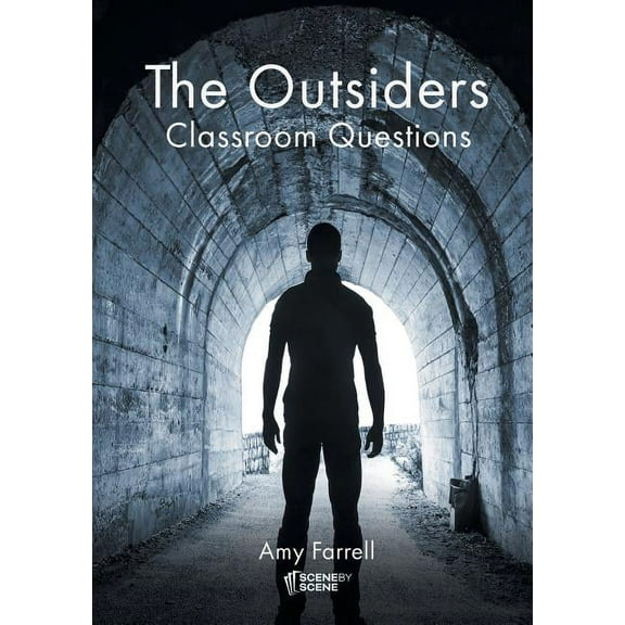 The Outsiders Classroom Questions, (Paperback)