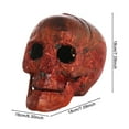 thumbnail image 4 of Sylvtty Halloween Skull Head Decor Plastic Realistic Human Skull Figurine for Graveyard Scene Haunted House Bar Home Table Decorations, 4 of 7