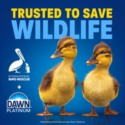 (2 pack) Dawn Ultra, Dish Soap Apple Blossom, 22oz