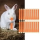 thumbnail image 5 of Palitos Molares De Conejo, 20 Piezas, Fragancia Natural, Palitos De Bambú Dulces Para Mascotas, Molienda De Dientes, Libre De Tóxicos Para Hámster, 5 of 7