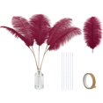 thumbnail image 1 of Kit de 20 plumas de avestruz burdeos Holmgren 25-30 cm, 1 of 6