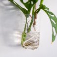 thumbnail image 2 of Cotton Strong Watering Wick 1Pack For Flower Pot Maintenance, 2 of 6