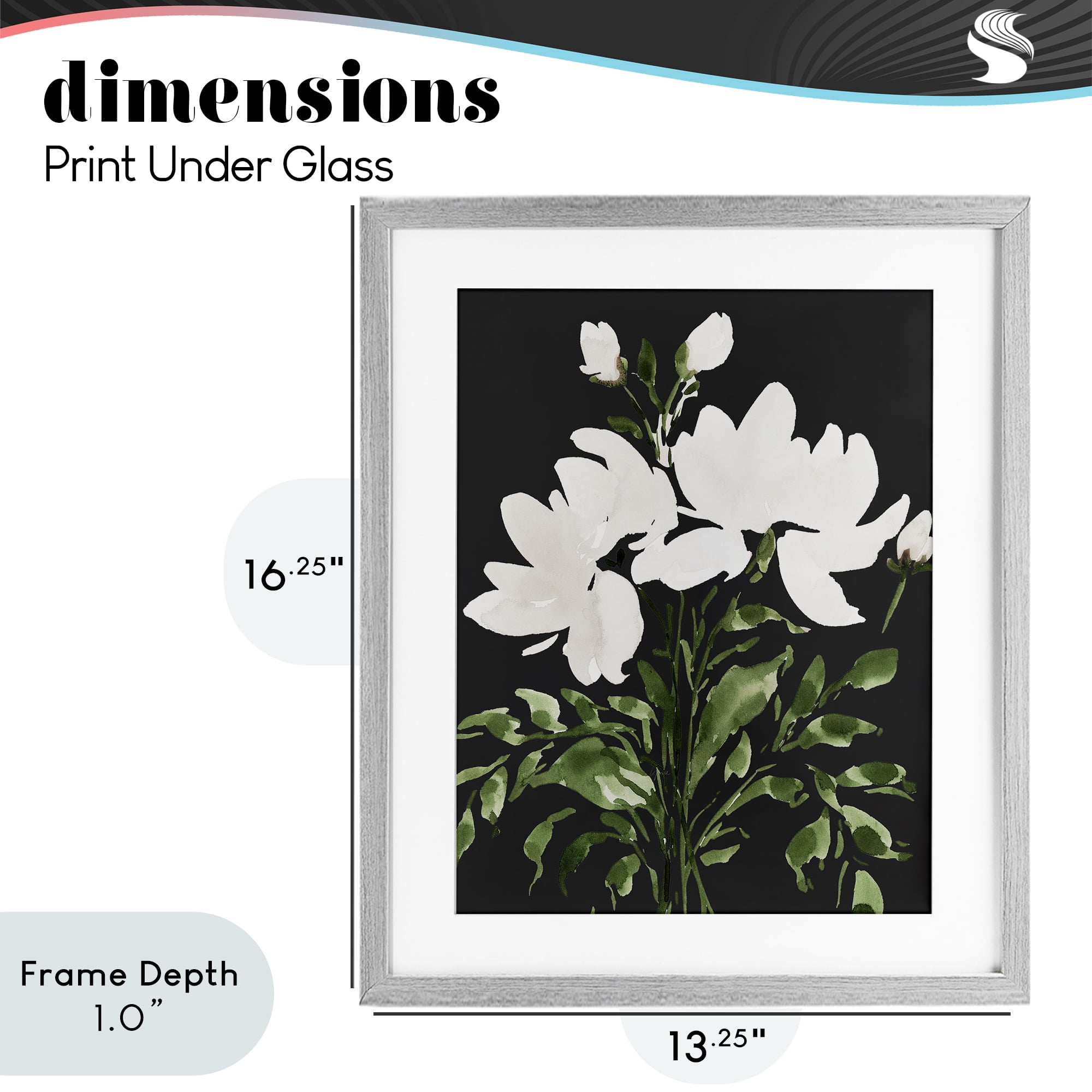 Stupell Industries White On Black Floral Gray Framed Print Under Glass, design by Lucille Price