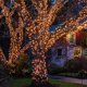 thumbnail image 5 of Luces navideñas HISHINY, 100 unidades, pequeñas, transparentes, 32 pies (10 m), 5 of 6