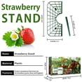 thumbnail image 2 of Strawberry Plant Stand 3Pcs Plastic Strawberry Supports Sturdy Strawberry Support Frame Stable Strawberry Growing Rack for Home Balcony Courtyard Garden Potted Plant, 2 of 7