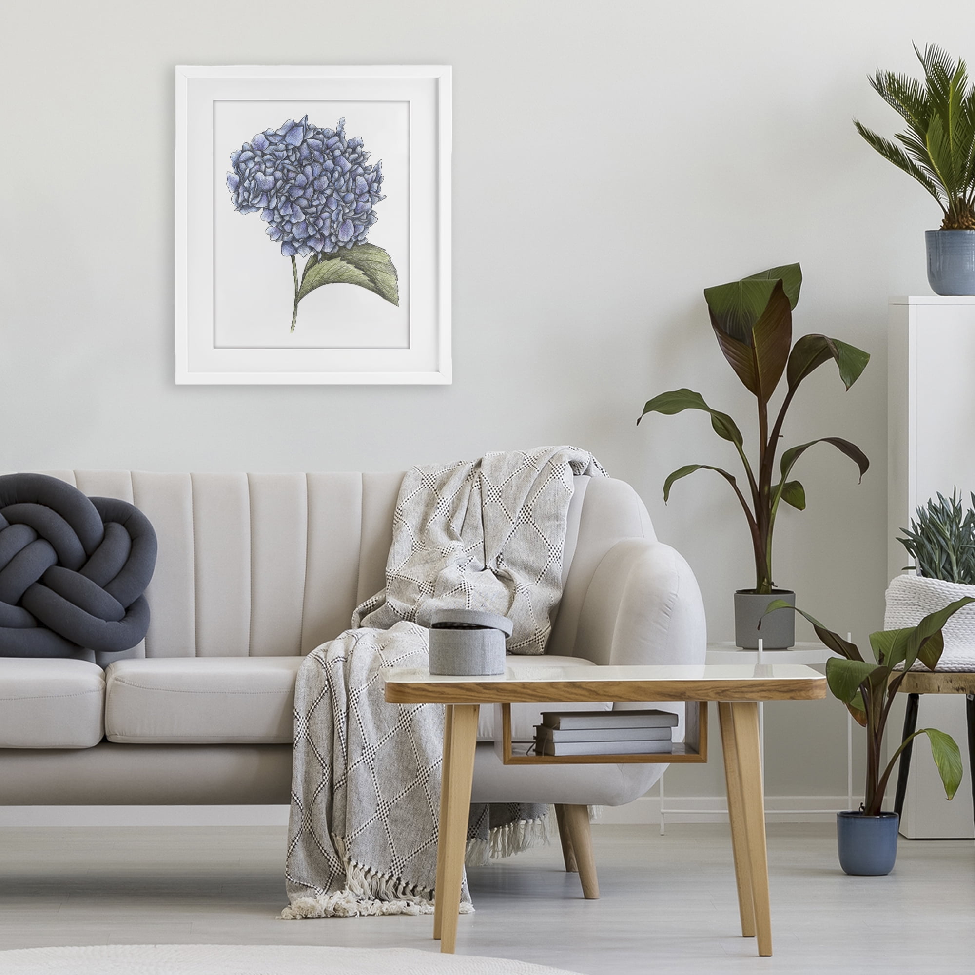 Hydrangea Sketch Blossom White Framed Print Under Glass, design by Cecilia Battaini