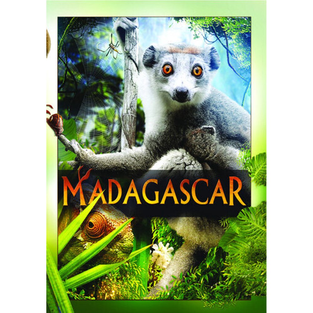 Madagascar (DVD) - Walmart.com - Walmart.com