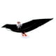 thumbnail image 1 of Cometa de águila Sunnimix 3D cometas de Animal realista fácil pájaro volador al aire libre 200x70cm, 1 of 8