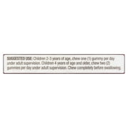 Equate Kids Multivitamin Gummies for General Health, Natural Fruit, 300 Count