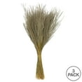 thumbnail image 5 of Vickerman 14-20" Natural Snowdrop Grass, 3 pack, Dried, 5 of 5