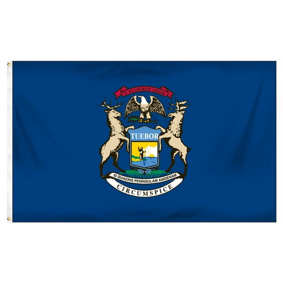 Michigan 3ft. x 5ft. SpectraPro Flag