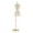 Champagne Gold, variant on Champagne Gold Female Mannequin Body Torso, Plus Size Female Mannequin, Manikin Body Torso, with Gold Metal Stand, 63-84.26inch Adjustable Height, for Store, Boutique, Designer,Jewelry