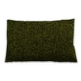 thumbnail image 1 of Ahgly Company Outdoor Rectangular Contemporary Lumbar Throw Pillow, 13 inch by 19 inch, 1 of 5