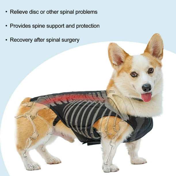 Kurtrusly Dog Back Brace Pet Back Pads Flexible Back Support Wrap For Injured Old Dogs L Other