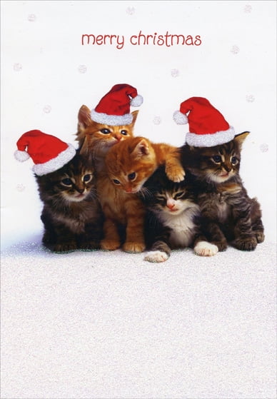 NEW CROWN BOXED HOLIDAY CATS KITTENS KITTY TRIO CHRISTMAS CARDS ENV 15 CT 