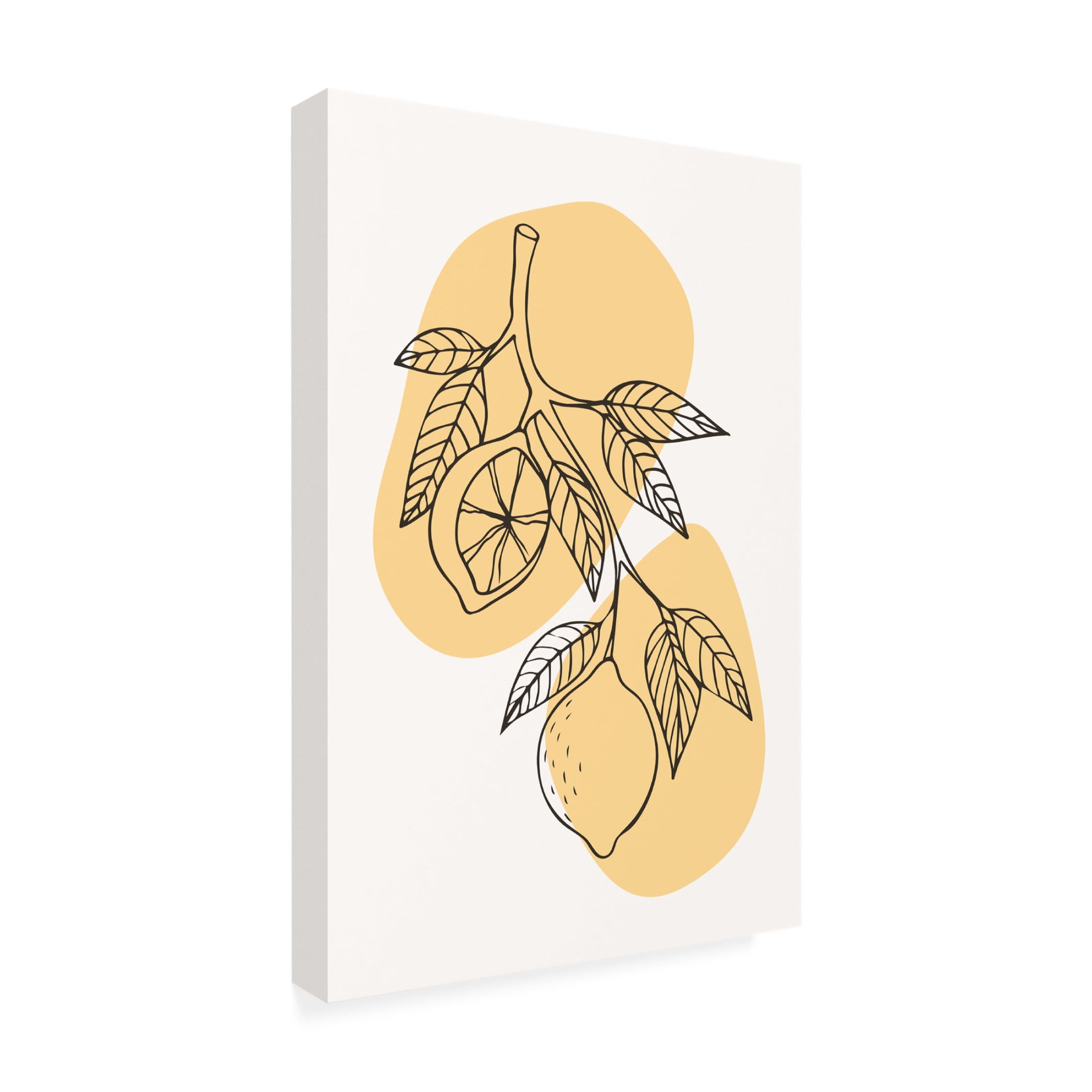 Trademark Fine Art jay stanley Boho Fruits 2 Canvas Wall Art
