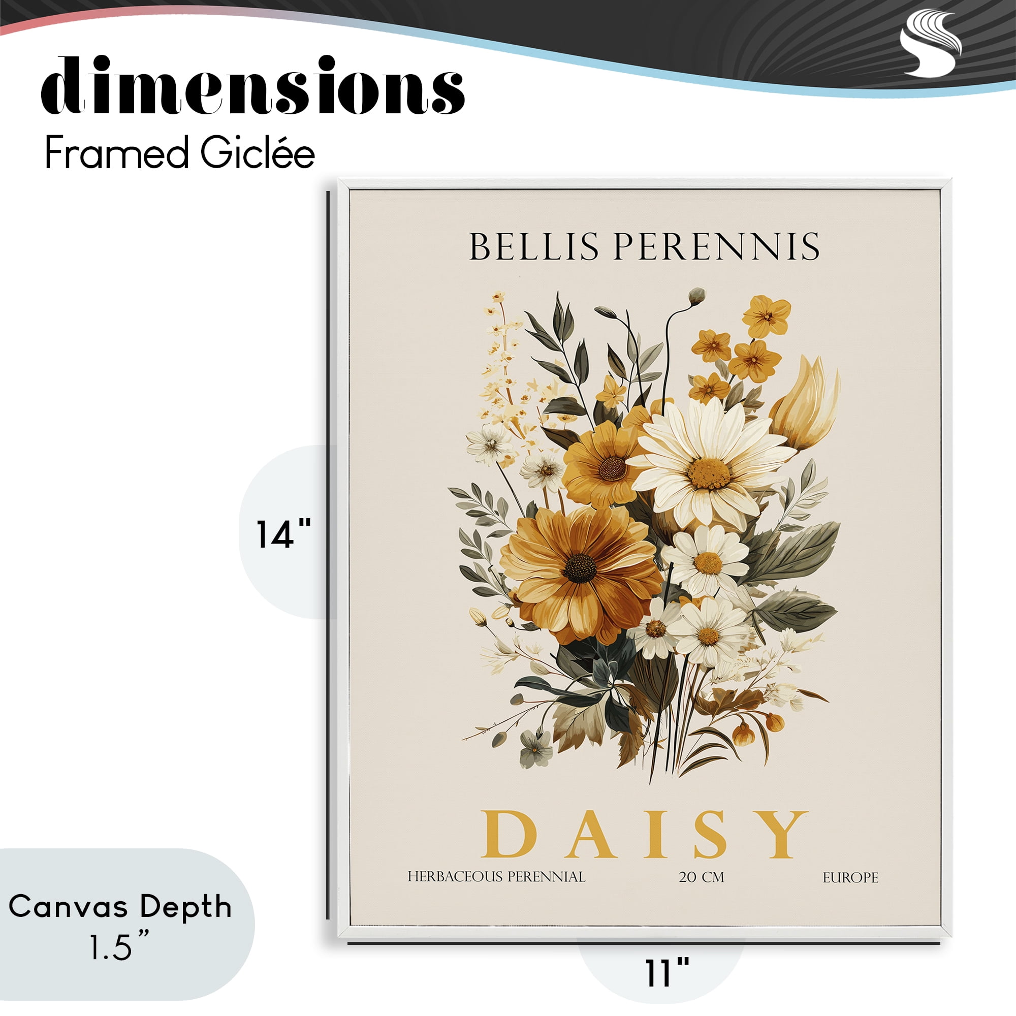 Stupell Industries Nature Daisy Bundle White Framed Giclee Art, design by Christopher Giampietro