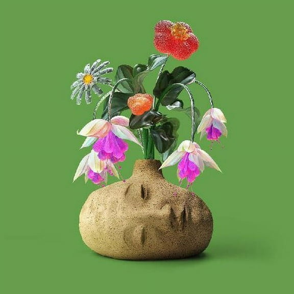 Elephant Gym - Dreams - Music & Performance - CD