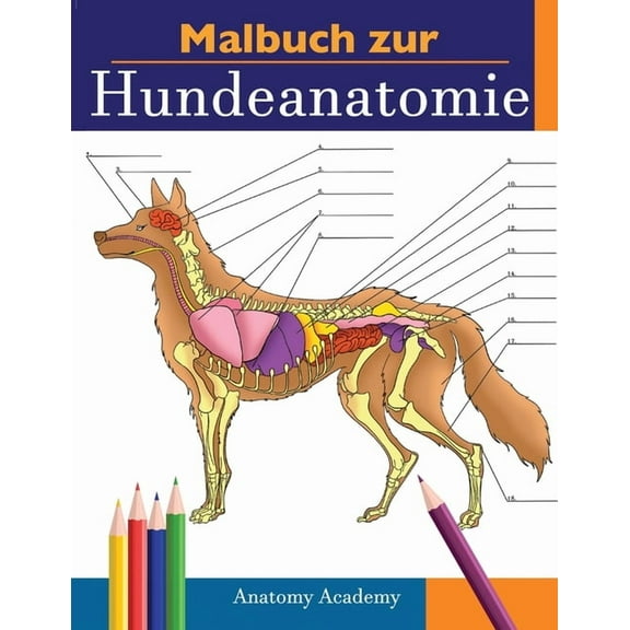 Malbuch zur Hundeanatomie: Unglaublich Detailliertes Arbeitsbuch über Hundeanatomie in Farbe zum Selbsttest Perfektes Ge, (Paperback)