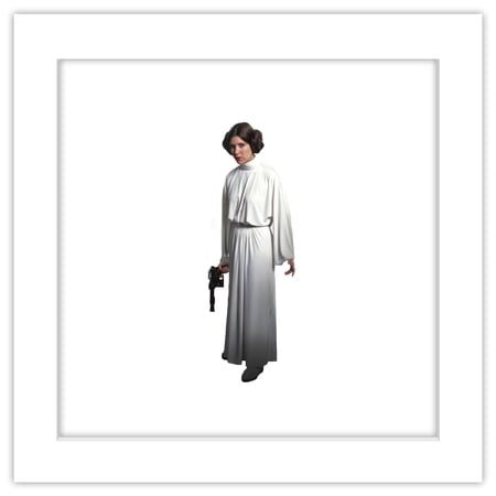 Gallery Pops Star Wars: Saga – Princess Leia Wall Art White Framed Version 12 x 12